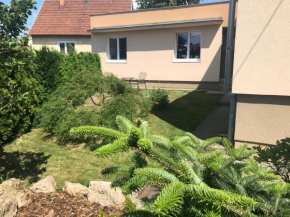Relax 38 Prievidza